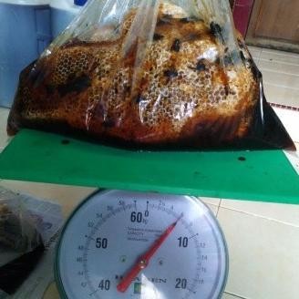 

Madu Hutan Sumatra 100% ,Gak Asli Gratis Promo