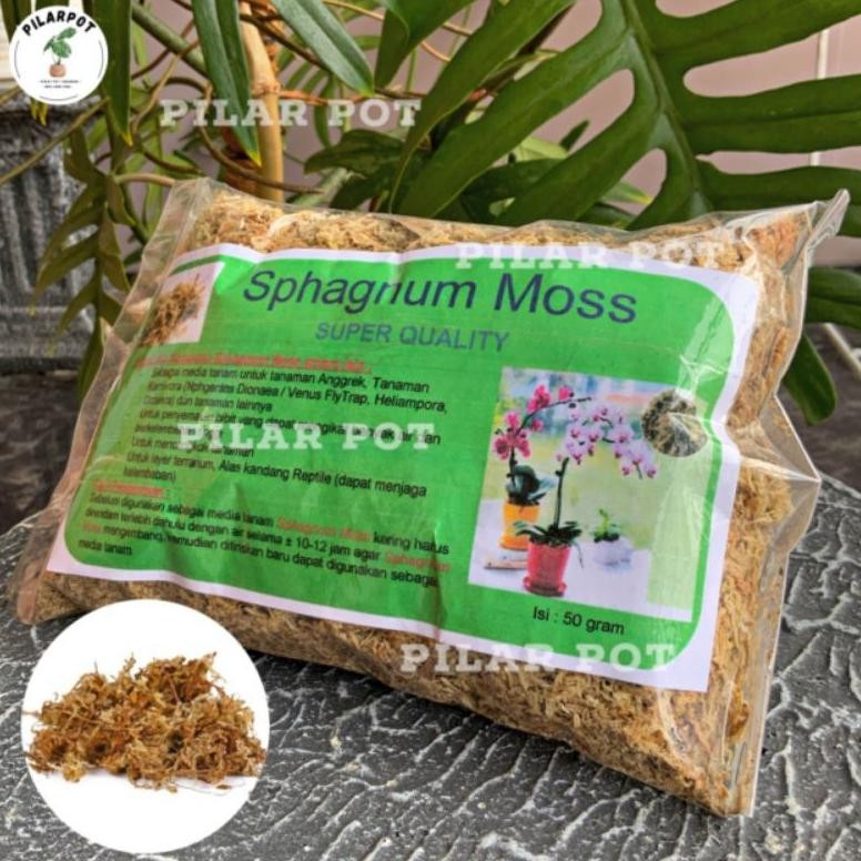 Moss anggrek merk sphagnum moss cocok untuk media tanam bunga anggrek
