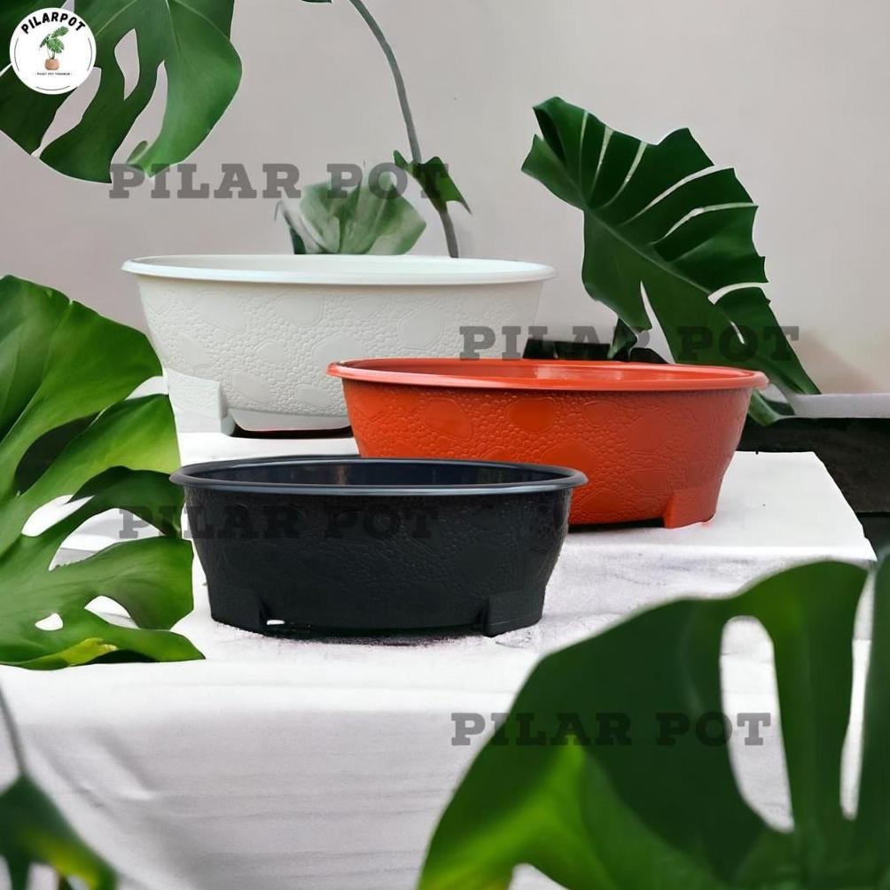 Pot Bunga Tanaman Bonsai 10 Oval 50 Cm Bahan Tebal - BJ BONSAI OVAL 10
