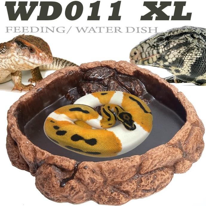 Terlaris Wd011Xl Water Dish Feedingdish Wadah Makanan Minuman Ular Cornsnake Varanus Salva Savmon Be
