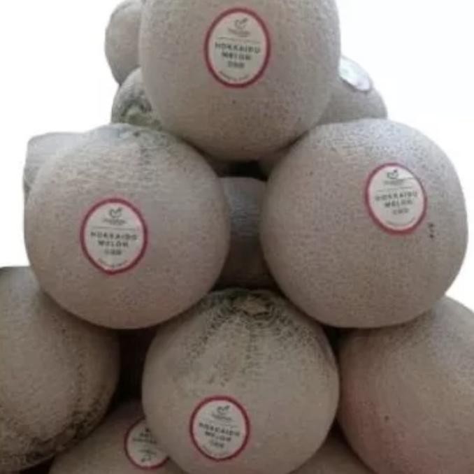 

Promo Melon Hokaido Jepang Manis Lembut Wangi / Pcs
