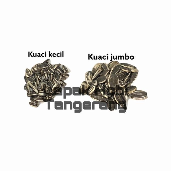 

ready Kuaci Sangrai Jumbo 1kg