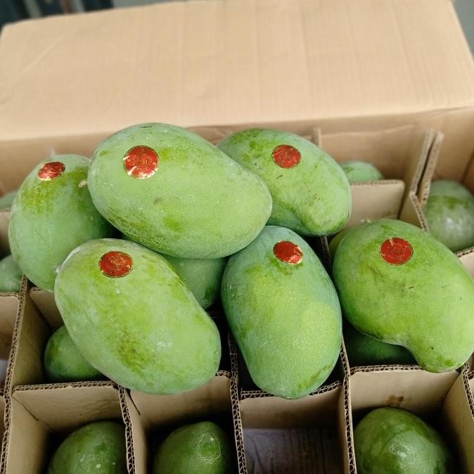 

Sale Mangga Harum Manis Premium Ahjaya Mango Tua Pohon 5Kg