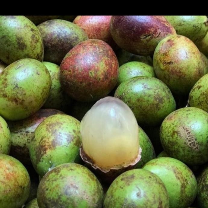 

Murah Buah Matoa Fresh Manis Per 1Kg