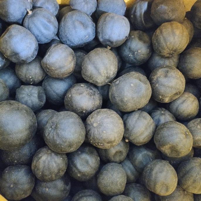 

Murah Lemon Hitam Lemon Aswad 1 Kg