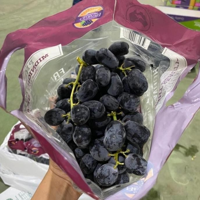 

Grosir Anggur Australia Grapes Manis Garing Non Biji