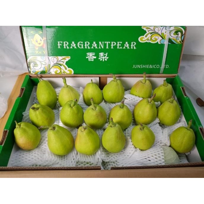 

Murah Buah Pear Pir Xianglie Fragrant Pear 1 Dus (6 Kg) Fresh Import