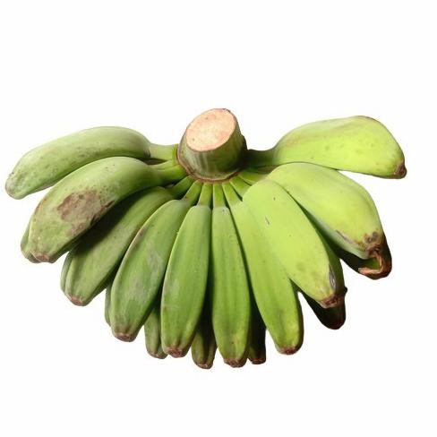 

ready Pisang Kepok 1 Sisir Pakan Burung