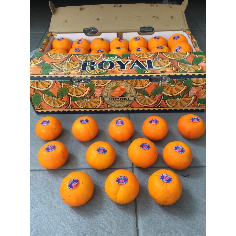 

Grosir Jeruk Wogan 1 Dus (9 Kg) Fresh Import