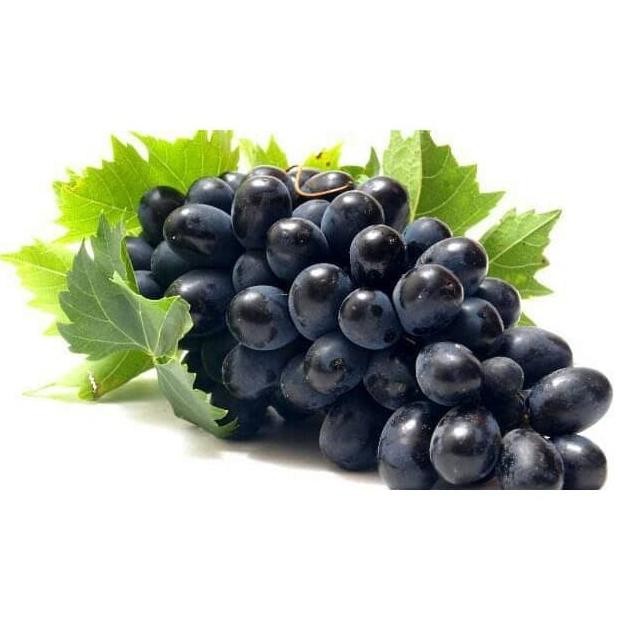 

Grosir Anggur Adora Seedless Kemasan Satu Kg (Khusus Grab Dan Gosend)