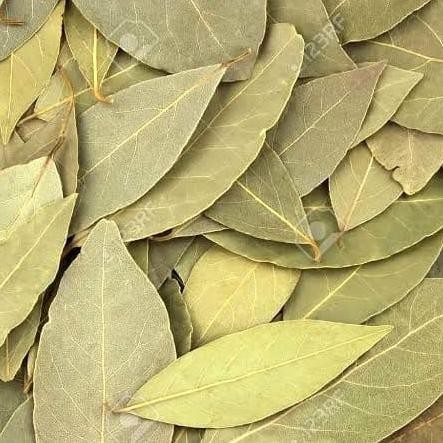 

Promo Bay Leaves Dried - 1 Kg/ Daun Salam Kering Import Turkey