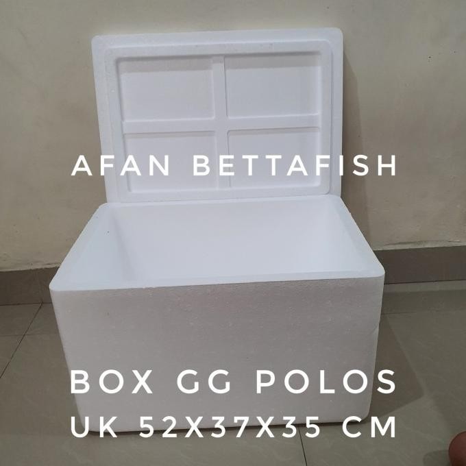

Box Styrofoam Gg Ukuran 52 X 38 X 34 Cm Tebal 2.5 Cm Box Frozen Food Terlaris