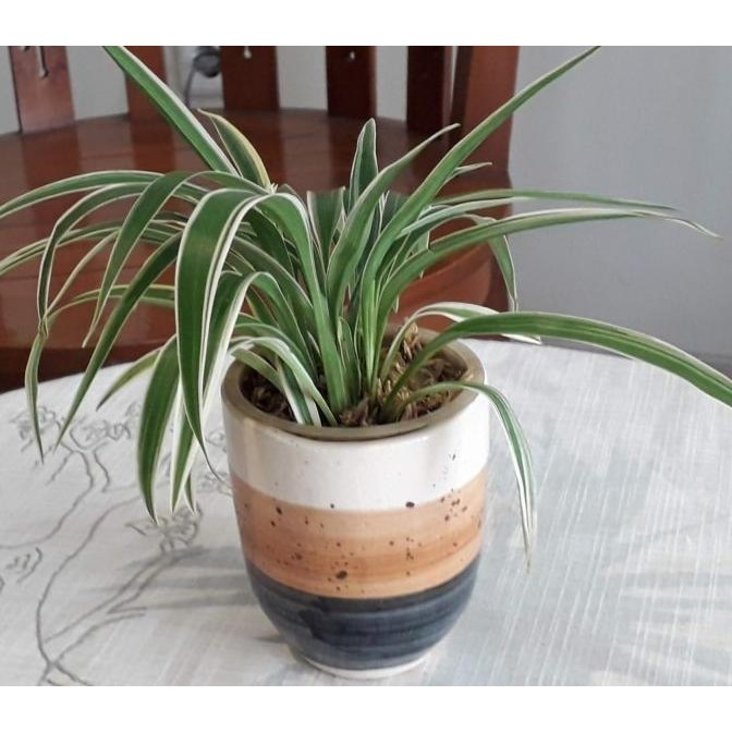 VAS BUNGA POT GERABAH TANAH LIAT PUTIH GLAZUR,BISA UNTUK TANAMAN AIR, Terlaris