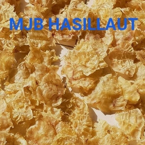 

Sale Perut Ikan Manyung Hupio / Lambung Ikan / Hipio /Berat 100Gram