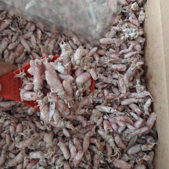 

Sale Cumi Baby Asin 500 Gram