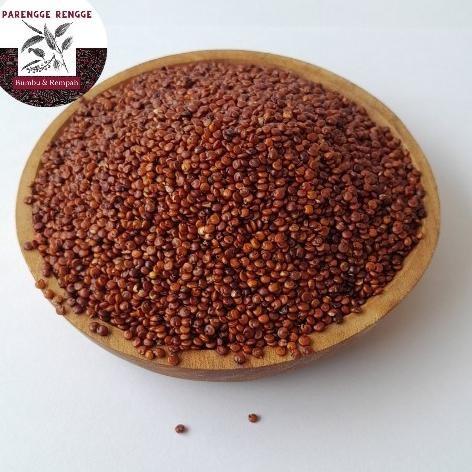 

Grosir Red Quinoa 1Kg / Quinoa Red