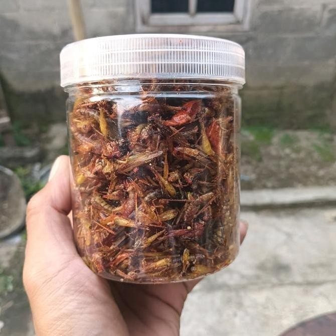 

SPECIAL BELALANG GORENG,BELALANG UTIS(PADI) PAKET 3 TOPLES,BERAT PER TOPLES -+ 160 GRAM Pedas Manis Food Snack F67A