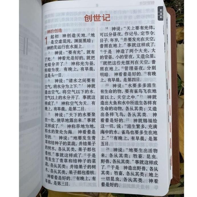 Alkitab Mandarin Tulisan besar/Chinese Bible / Brown Cover murah