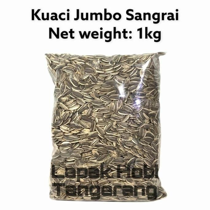 

KUACI SANGRAI PARROT BERSIH 1KG murah