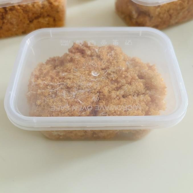 New Telur ikan terbang, telur ikan tuing-tuing, asli Dobo, Maluku, asli langsung dr nelayan, kering 