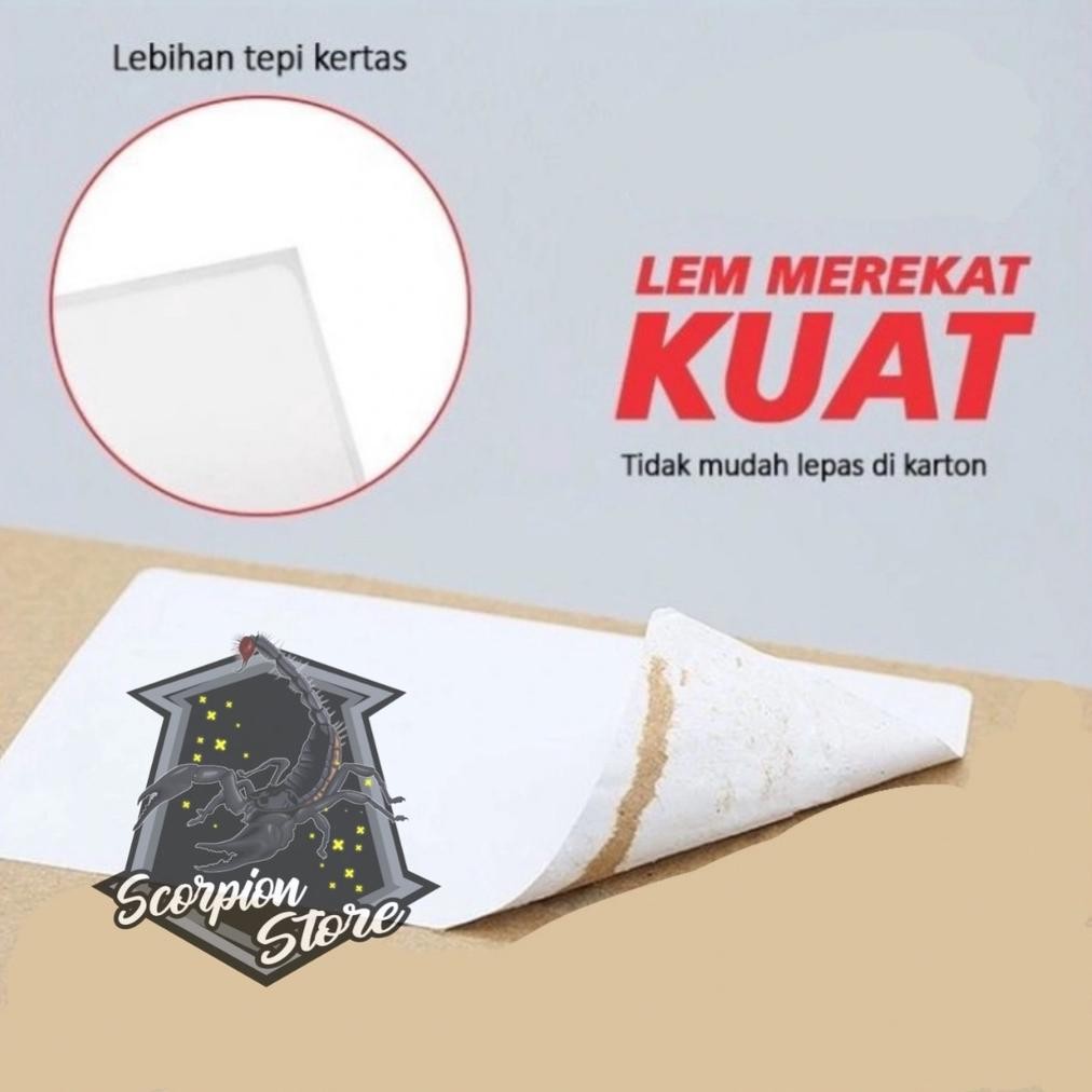 

Tr24 Murah Meriah (1 Dus) - Kertas Label Thermal 100 X 150 Isi 10.000 Lembar - Kertas Lebel A6 - Ss Premium