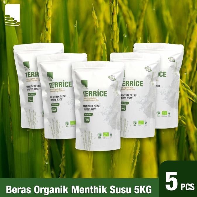

Ready Paket Belanja Bulanan Beras Putih Organik Terrice Menthik Susu 5Kg