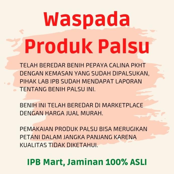 Benih Pepaya Calina PKHT IPB 9 (California) Callina murah