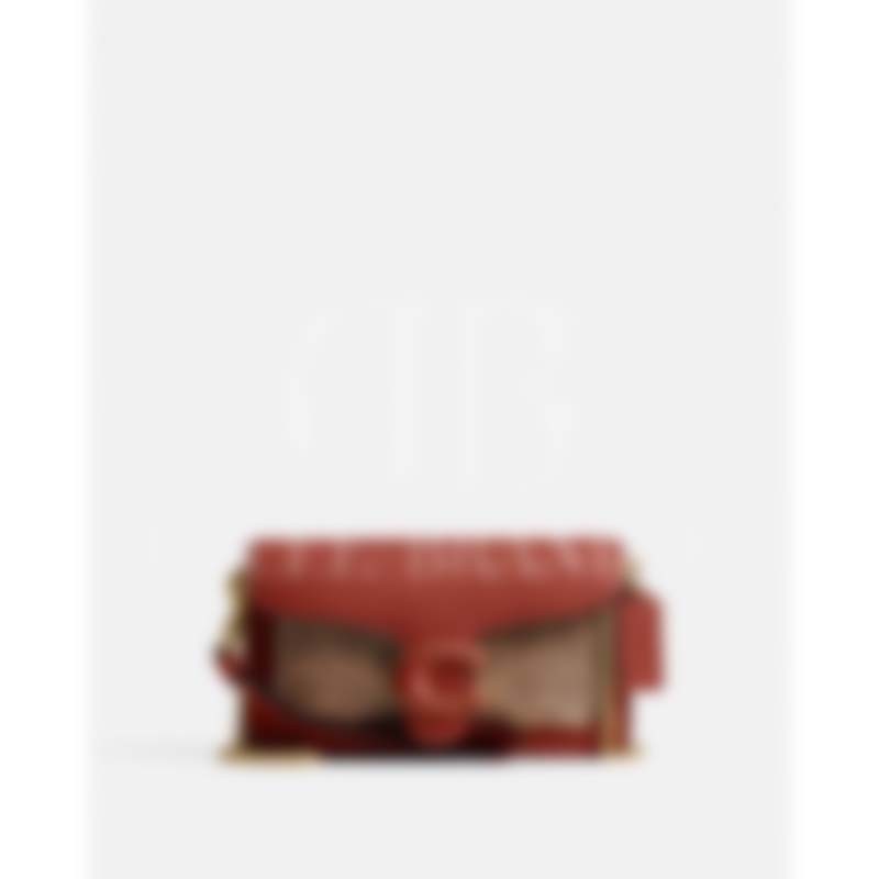 Tabby ain Crossbody Wristlet In Signature Canvas (CK 025)