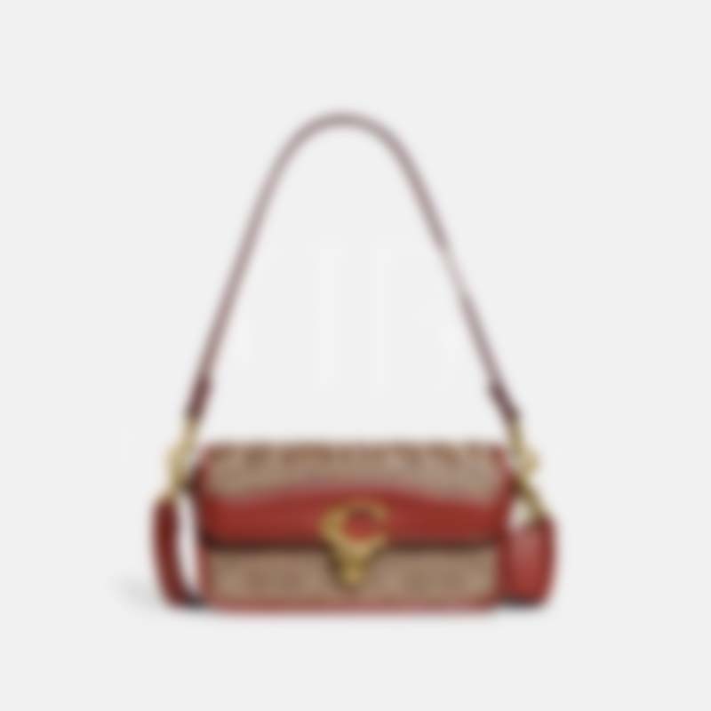 Studio Baguette Bag In Signature Canvas (CE 764)