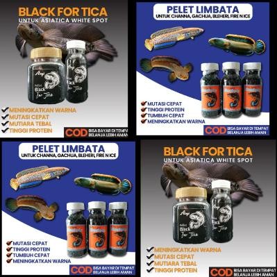 Pellet Channa Black For Tica Asiatica WS Pure Pelet Asagi Black Asiatika White Spot Pakan Chana Pele