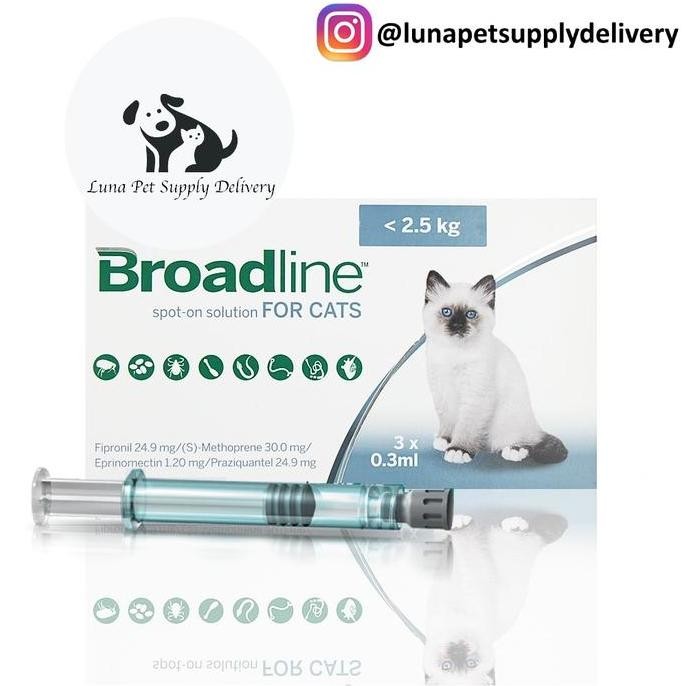 Obat Kutu, Pinjal, Scabies & Cacing Kucing Broadline S dibawah 2,5 kg