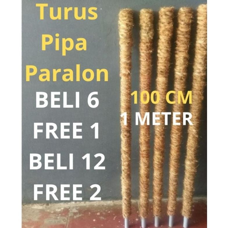Bisa Cod Turus Penyangga Tanaman Tiang Tongkat Ajir Rambatan Bunga Janda Bolong Pipa Paralon 100 Cm 