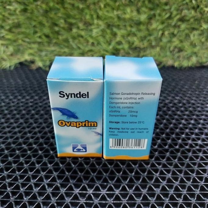 Ovaprim Syndel Hormon Ikan no Ovaspec