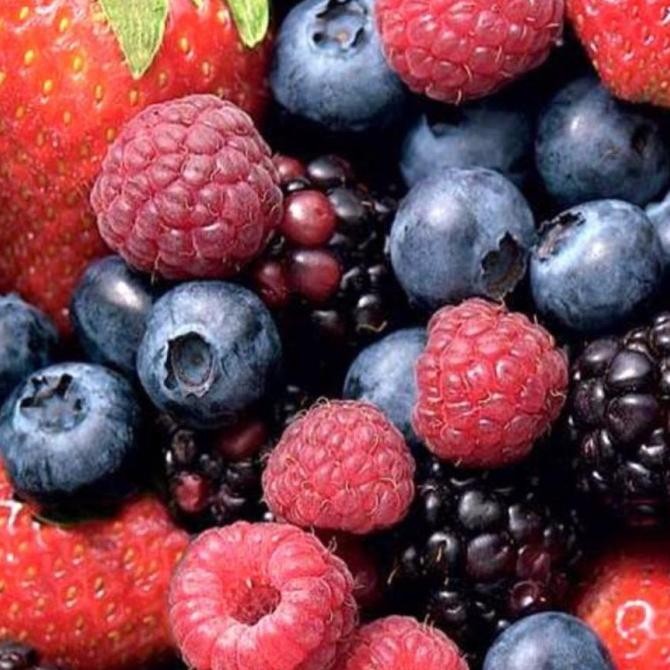 

Diskon! IQF Mixed Berries Frozen Mix Berry Buah Berry Beku