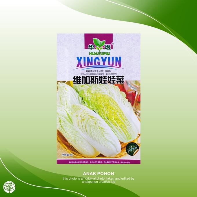 

(1 PACK) Benih Sawi Putih Chinese Cabbage Seeds - Retail Pack murah
