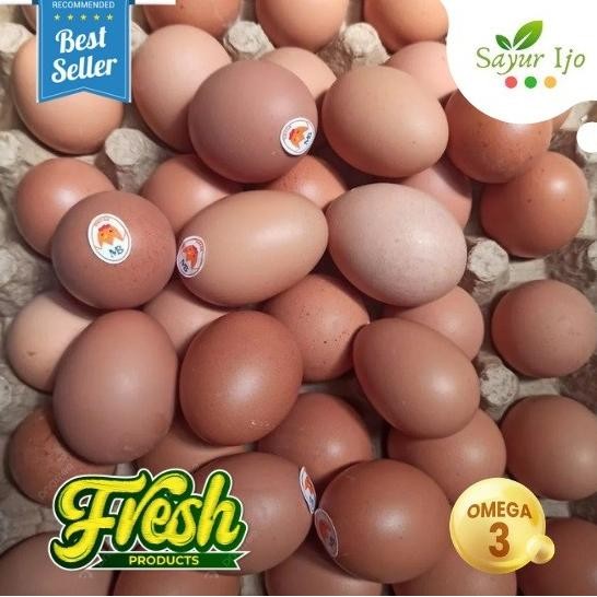 

Terlaris Telur Ayam Negri Omega 30 Pcs / Pack Fresh Chicken Eggs Telor Negeri Segar