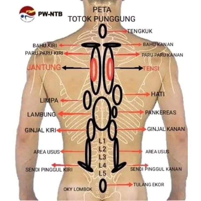 Original Tera Hertz Alat Terapi Kesehatan Iteracare Itera Care
