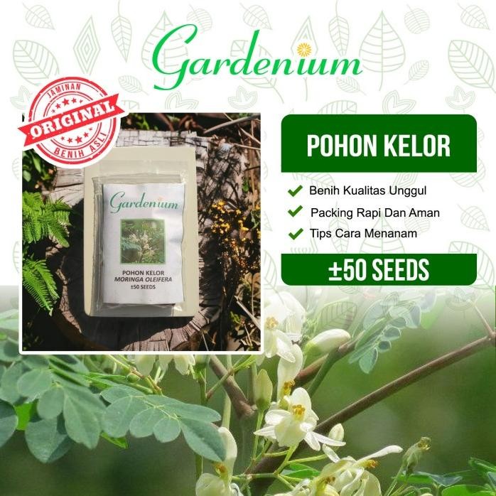 

Terlaris Gardenium Benih Pohon Kelor Unggul Moringa Oleifera Tanaman Herbal