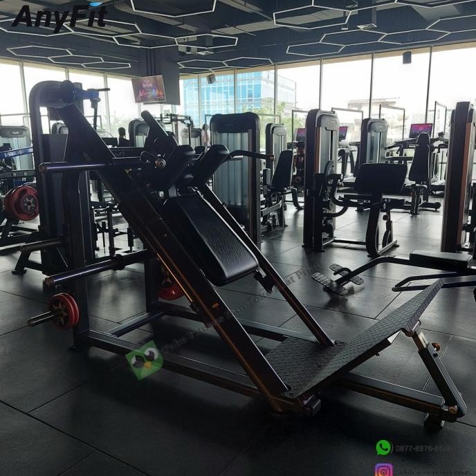 Murah Bundling Anyfit Peb204 Plate Loaded Squat & Dhz Dual Pulley E1017C