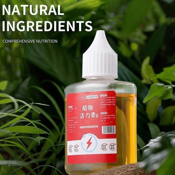 

Terlaris Penyubur Tanaman Herbal Plant Growth Booster 50 Ml Pupuk Tumbuhan