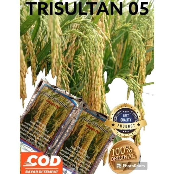 

Terlaris Benih Bibit Padi Trisultan 05 Original Berkualitas Kemasan 5Kg