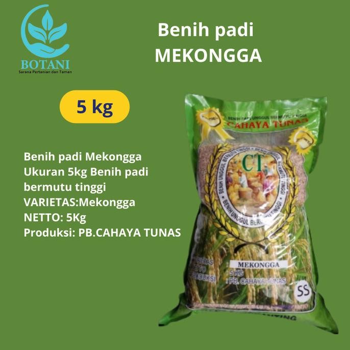 

Terlaris Benih Padi Mekongga Ukuran 5Kg
