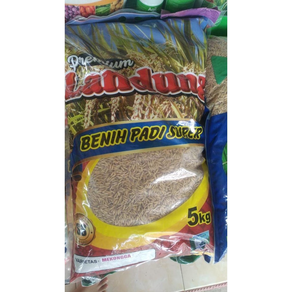 

Terlaris Benih Padi Mekongga 5Kg