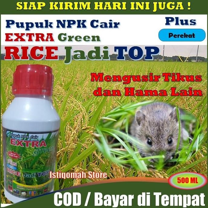 

Terlaris Pupuk Cair Padi Pengusir Tikus Yang Bagus Ampuh Rice Jadi Top 500Ml Ricetop