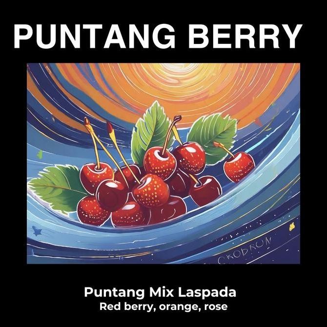 

ready stock Kopi Puntang Berry Kopi Arabika Puntang Mix Laspada Coffee 200 gr