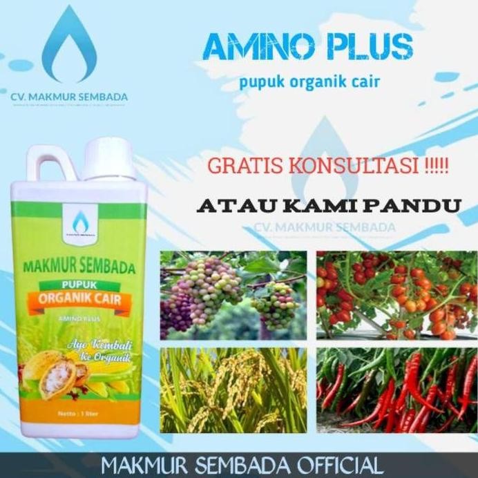 

Terlaris Pupuk Organik Cair Asam Amino Plus 1 Liter Poc Penyubur Tanaman Hias