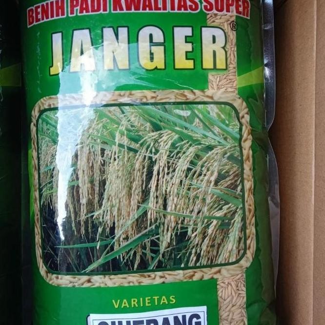 

Terlaris Benih Padi Ciherang Janger