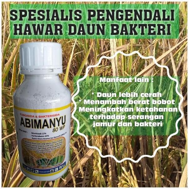 

Terlaris Fungisida Bakterisida Abimanyu Obat Padi Merah (Kresek)/Bahan Cbia