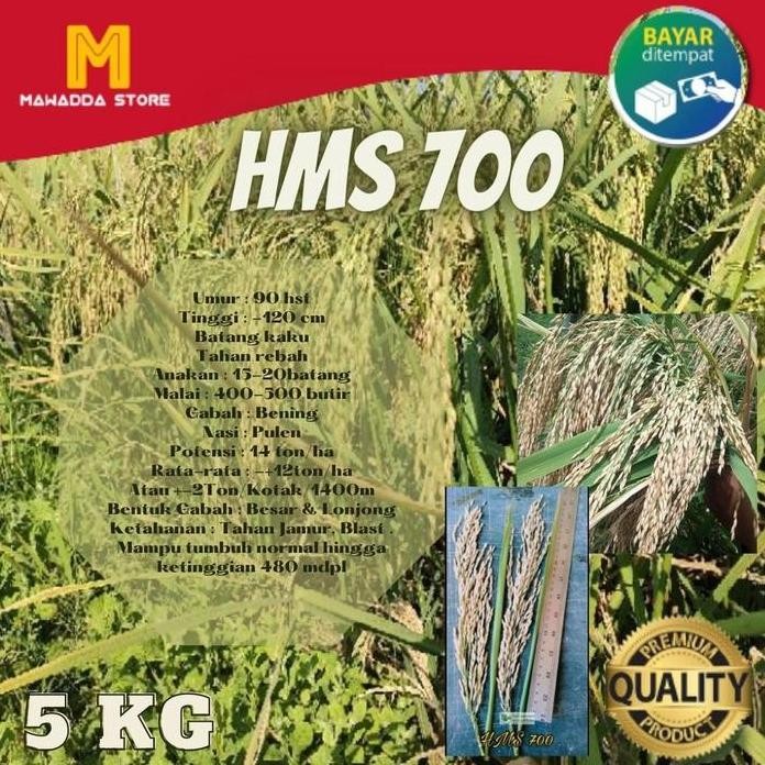 

Terlaris Bibit Padi Unggul Hms 700 5Kg