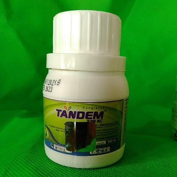 

Terlaris Tandem 325 Sc Fungisida Boster Padi 50Ml 100Ml 250Ml Azoksistrobin Difenokonazol